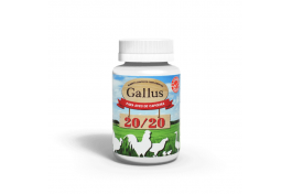 GALLUS 20/20